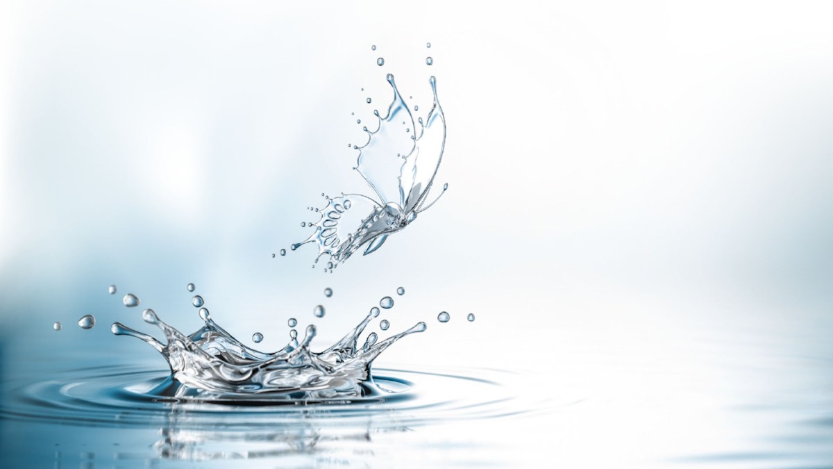 How do I become pure and&nbsp;sinless?