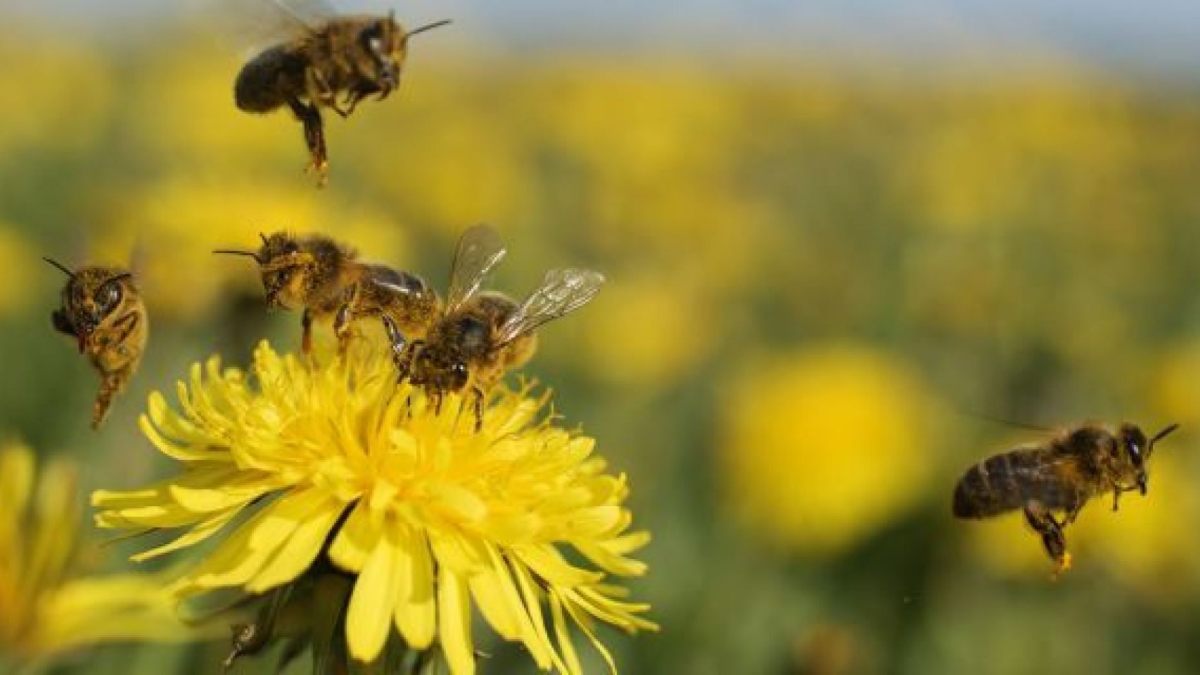 Serving those who serve the&nbsp;Supreme