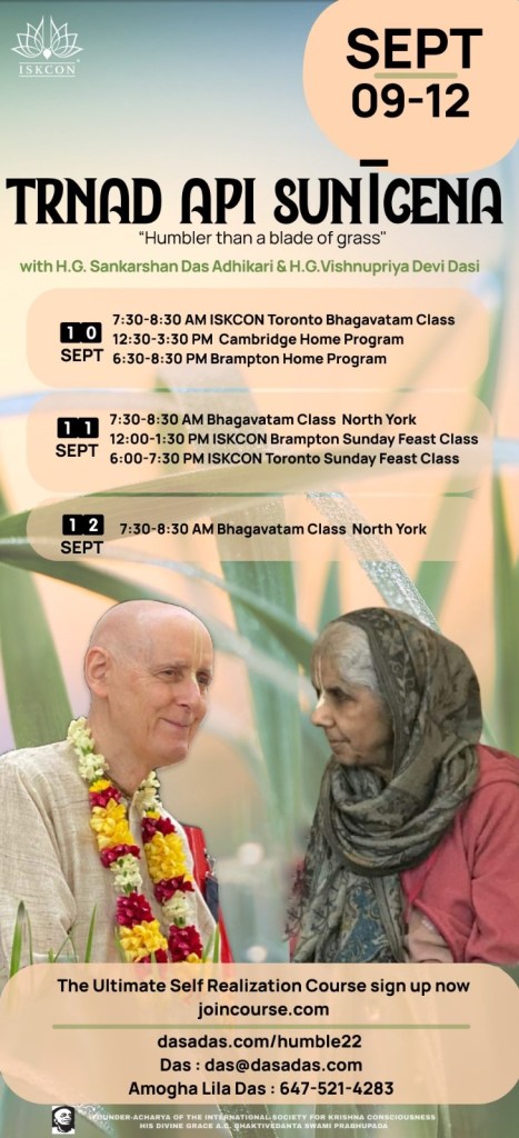 trnad api sunicena - humbler than a blade of glass