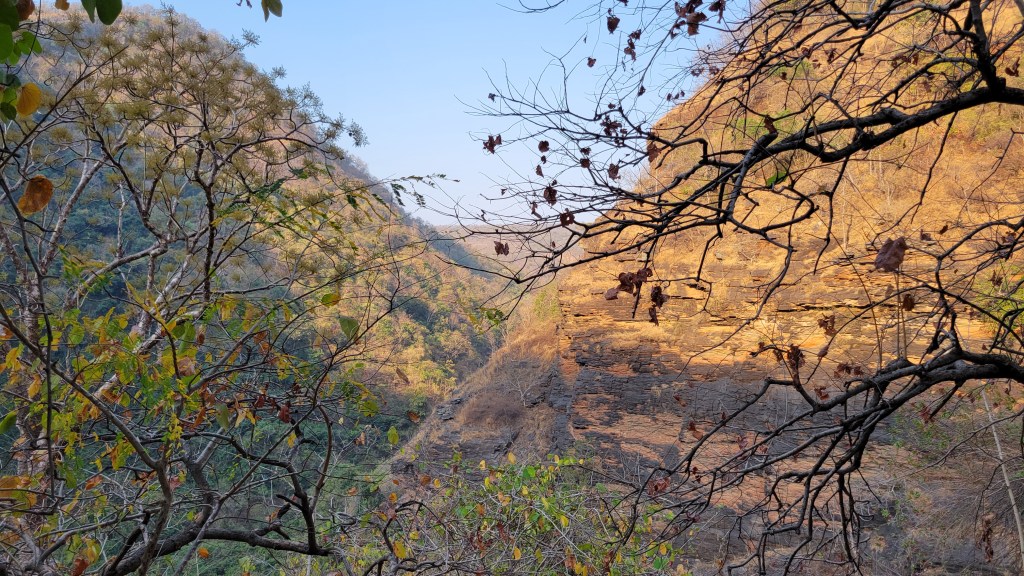 The Rugged Natural Beauty of Ahobilam. Lord Narasimha is Everywhere in Ahobilam! Great place to distribute Srila Prabhupada's books!