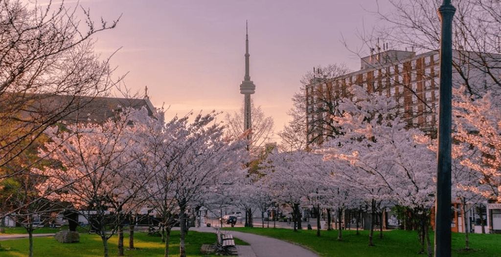 Toronto in Spring