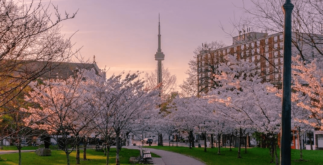 Toronto in Spring